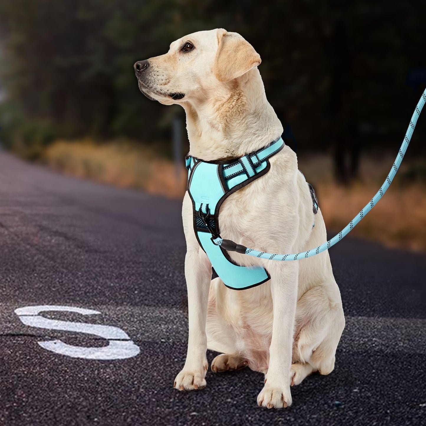 IVY&LANE No Pull Dog Harness with Leash Set, Reflective No Choke Pet Vest,Adjustable Oxford Dog Vest Harness with Easy Control Handle for Medium Dogs (Turquoise,M)