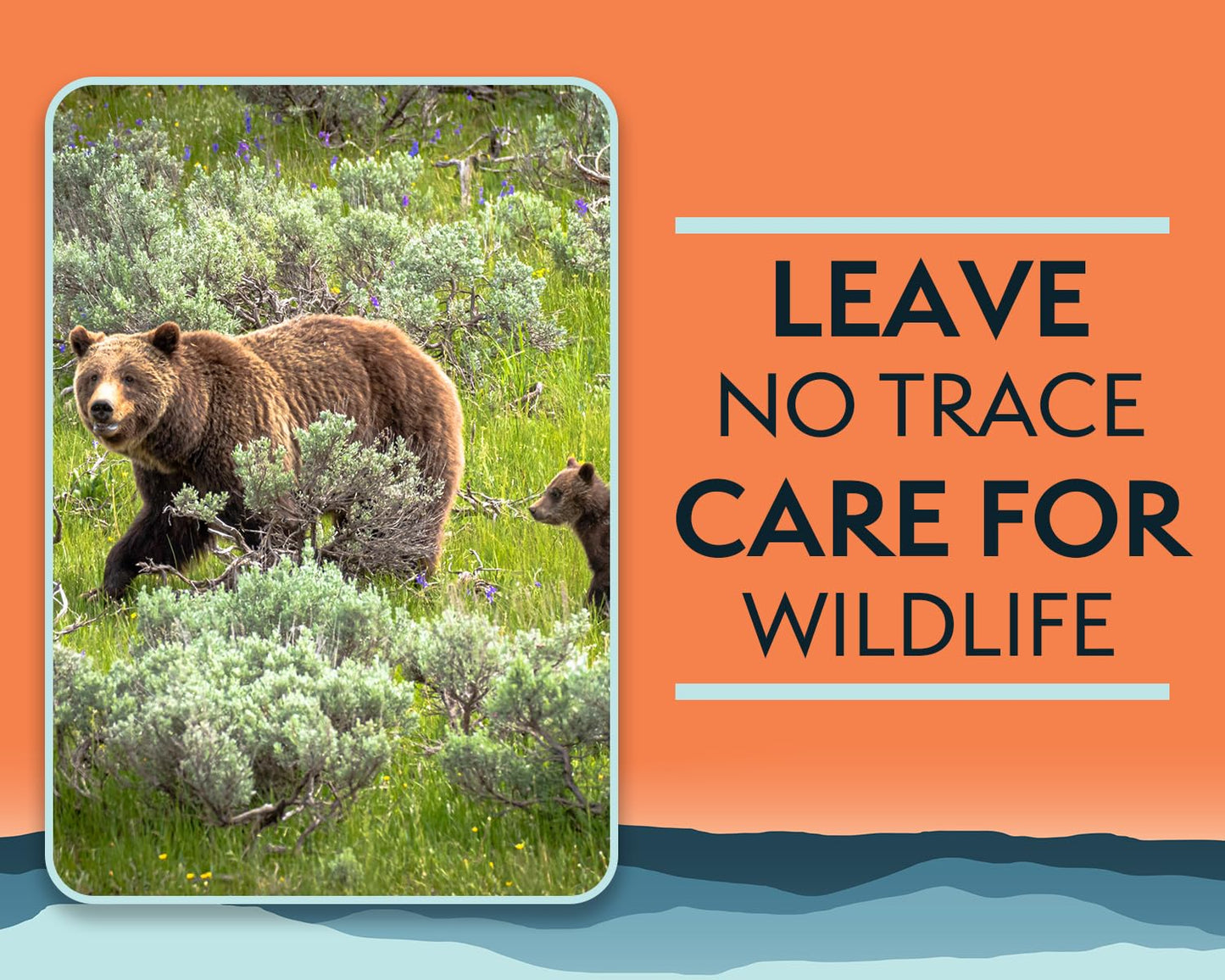 Cleanwaste Portable Mini Poo Powder Deodorizing Waste Treatment - 55 Scoops - Pee and Poop Gelling Powder for Camping, Travel, Emergencies