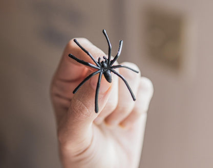 Happy Hippo Halloween Spider Web Decoration, 200 Sqare Feet & Plastic Spiders, Halloween Party Supplies, Spider Webs (Small, 200 Sq Feet) (8 Fake Spiders Included)