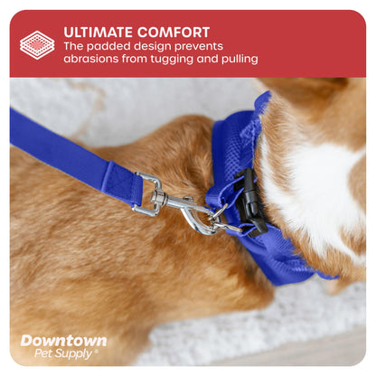 Downtown Pet Supply Step in Dog Harness for Small Dogs No Pull, Small, Blue - Adjustable Harness with Padded Mesh Fabric and Reflective Trim - Buckle Strap Harness for Dogs