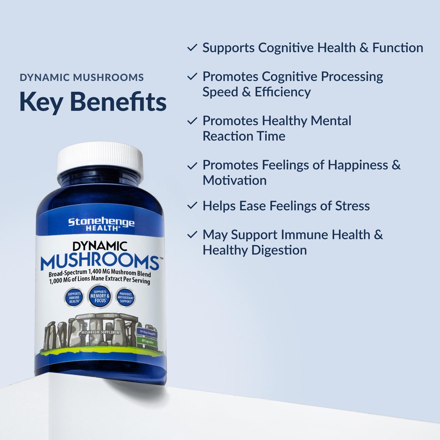 Stonehenge Health Dynamic Mushrooms - 100% Fruiting Bodies & Extracts - Lion’s Mane, Chaga, Maitake, Shiitake, Reishi - Nootropic Brain & Immune System Support - No Mycelium - 60 Veggie Capsules