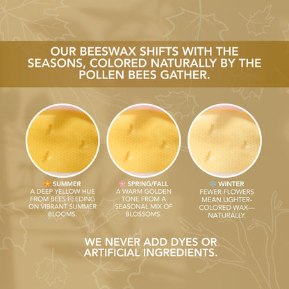 Fall Fresh Cinnamon Bark Essential Oil - Warm & Spicy Pure Beeswax Candle - 90+ Hours Long Burning - Non-Toxic Scented Candles for Autum Home Decor & Aromatherapy for Anxiety Relief - Natural - 15 OZ