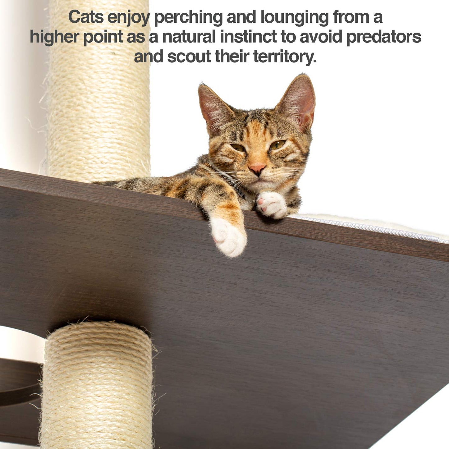 PetFusion Ultimate Cat Climbing Tower & Activity Tree. (24 x 20.8 x 76.8 inches (lwh) Tall Sisal Scratching Posts, Modern Wall Mounted cat Furniture, Espresso Finish). 1 Year Manufacturer Warranty
