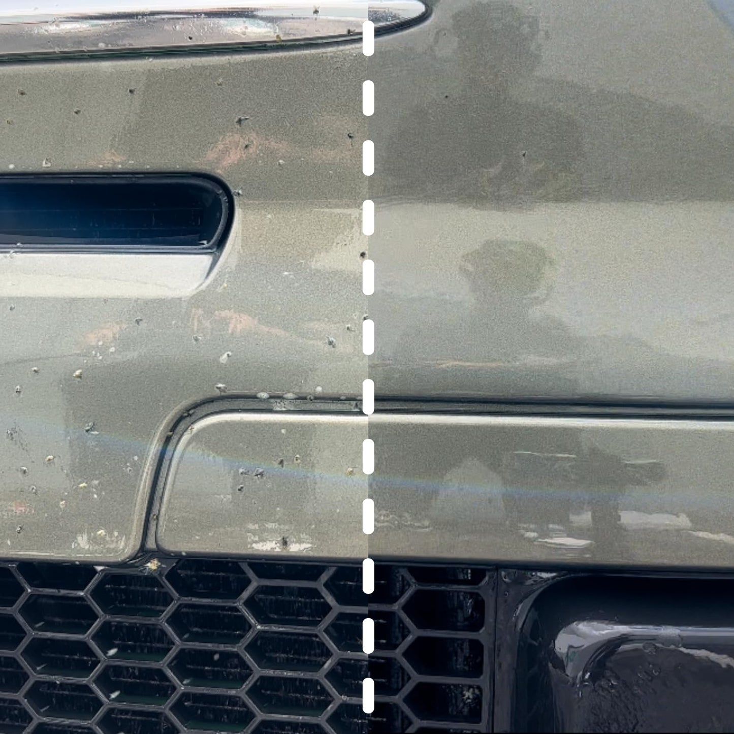 3D Bug Remover - All Purpose Exterior Cleaner & Degreaser to Wipe Away Bugs on Plastic, Rubber, Metal, Chrome, Aluminum, Windows & Mirrors, Suitable for use on Car Paint, Wax & Clear Coat 16oz.