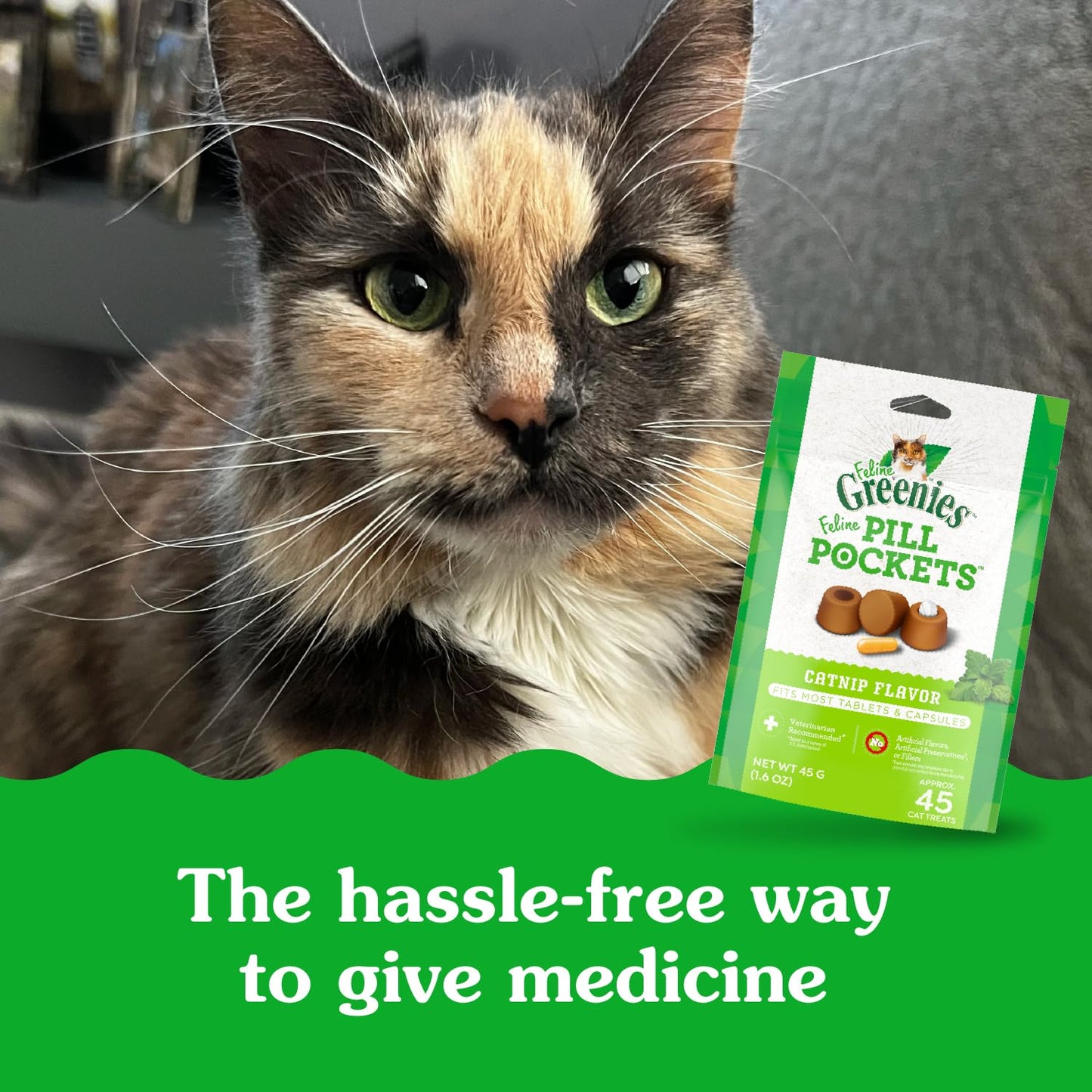 Greenies Feline Pill Pockets for Cats Natural Soft Cat Treats, Catnip Flavor, 1.6 oz. Pouch (45 Treats)