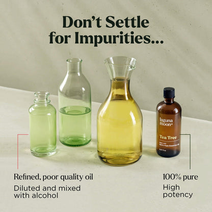 Lagunamoon Essential Oils Set - Top 6 Blends for Diffusers, Home Care, Candle Making Scents, Fragrance, Aromatherapy, Humidifiers, Gifts - Peppermint, Tea Tree, Lavender, Eucalyptus, Orange (10mL)