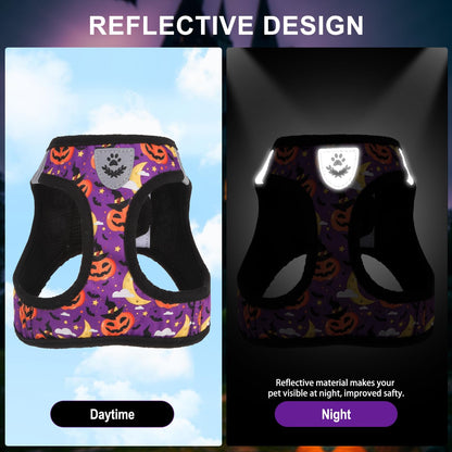 EXPAWLORER Halloween Puppy Harness - Dog Collar and Leash - Soft Mesh Padded Adjustable Step in Small Dog Vest Harness No Pull, Reflective Escape Proof for Outdoor Walking, Purple M