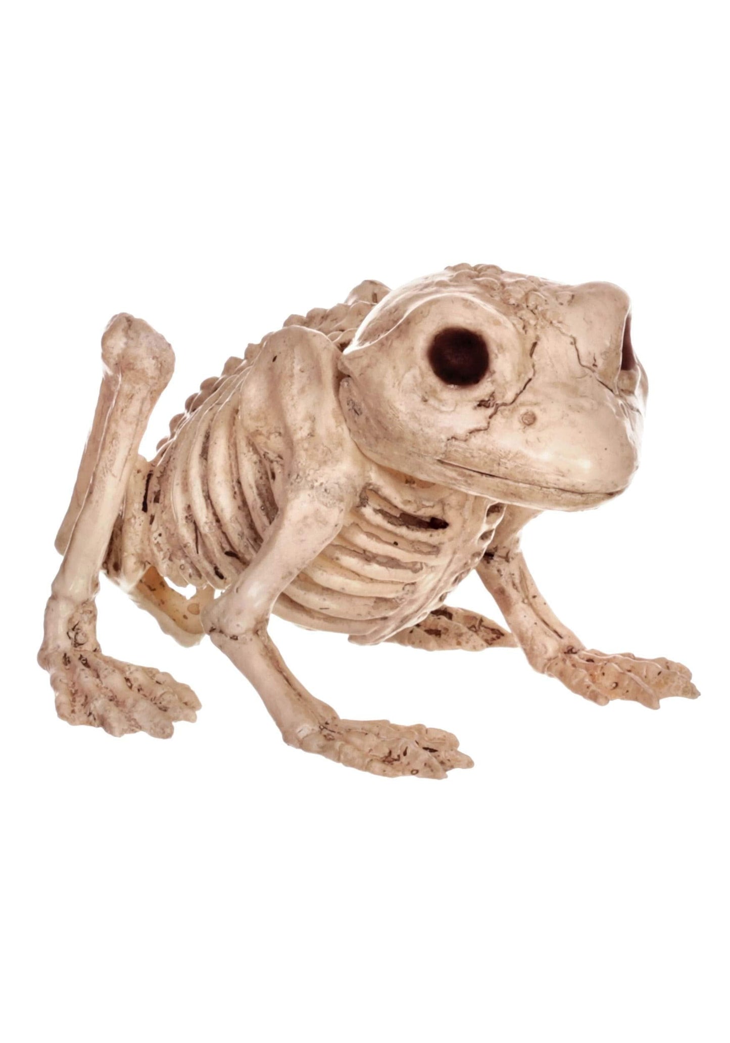 Crazy Bonez Skeleton Frog