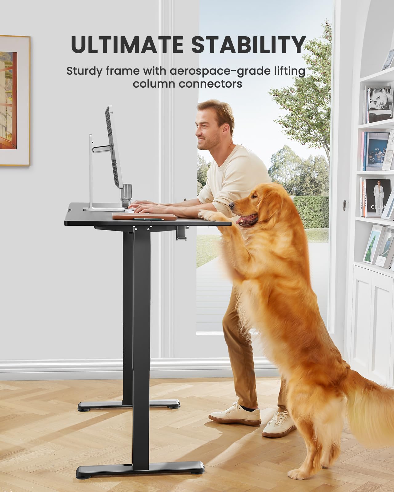 ErGear Height Adjustable Electric Standing Desk, 48 x 24 Inches Sit Stand up Desk, Memory Computer Home Office Desk with Two-Piece Desktop (Black)