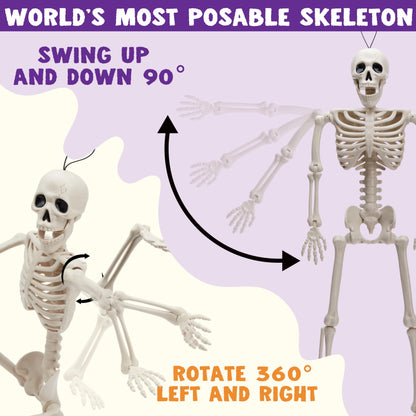 JOYIN 5 PCS Posable Halloween Skeleton Decor 16 Inches, Full Body Posable Joints Hanging Skeletons for Halloween Decorations, Graveyard Props, Haunted House Accessories, Spooky Scene Party Favors