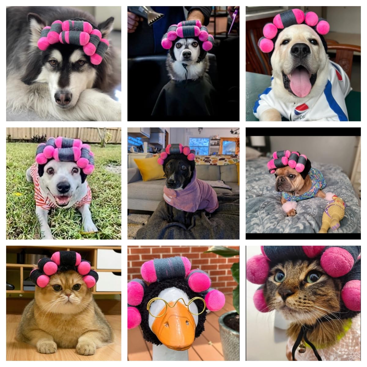 Funny Dog Curler Wig Costume & Glasses - Adjustable, Soft & Warm Pet Wig for Small, Medium & Large Dogs & Cats - Perfect for Halloween, Christmas & Parties (Fits Pet Head Circumference 6-27 Inch)