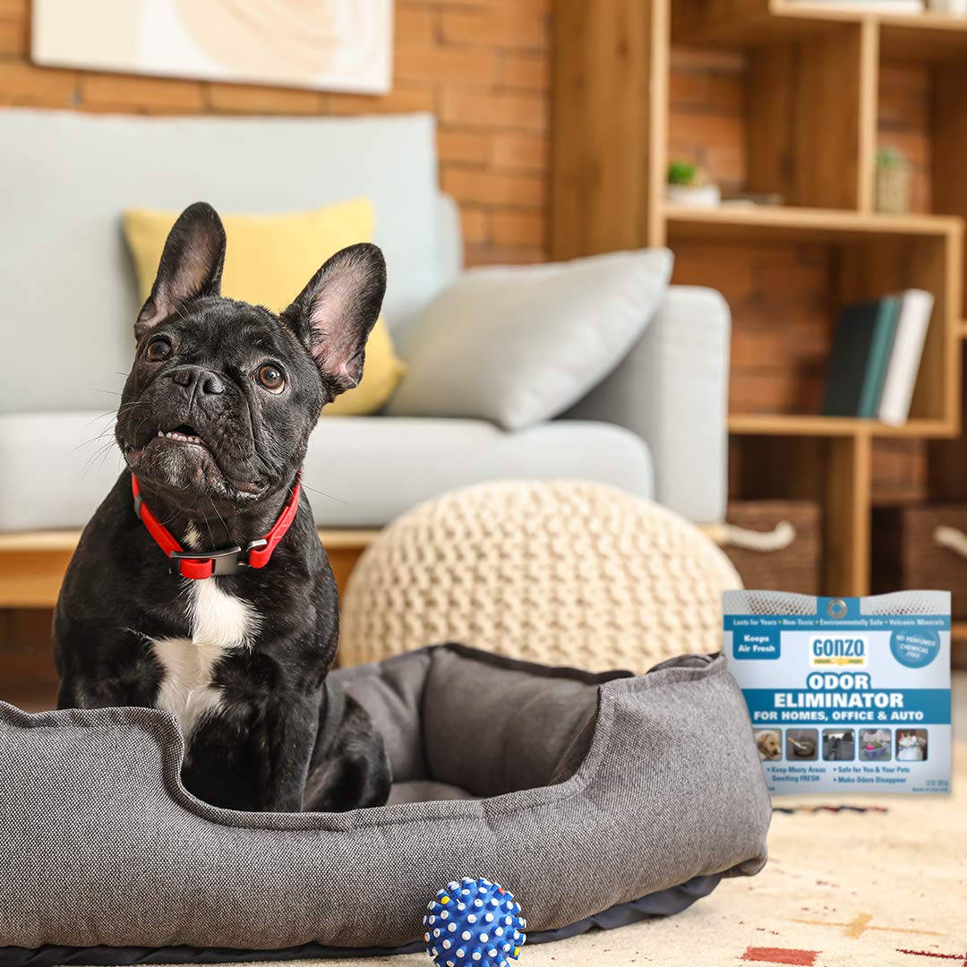 Gonzo Odor Eliminating Rocks for Homes - 2 Pack