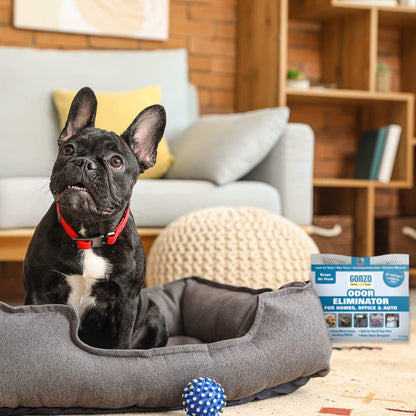 Gonzo Odor Eliminating Rocks for Homes - 2 Pack