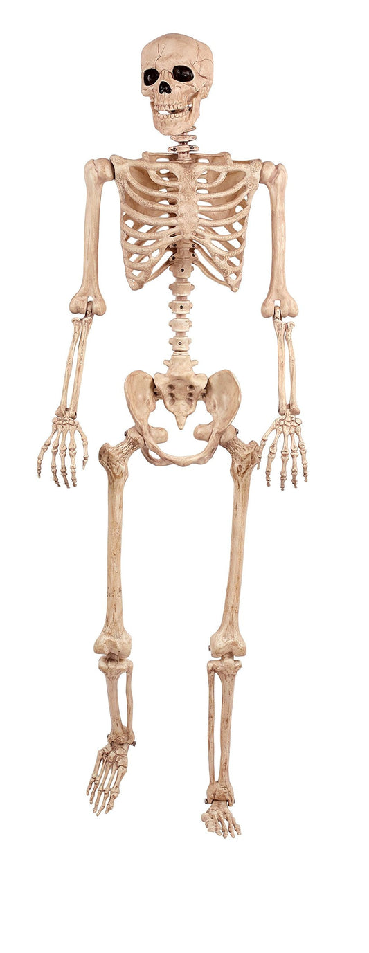 Crazy Bonez Pose-N-Stay Life Size 5 FT Skeleton with Realistic Posable and Movable Joints for Halloween Indoor and Outdoor Decoration