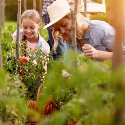 29'' Sprayer Wand Replacement, 1/4" & 3/8" Brass Barb Universal Stainless Sprayer Wand with Shut off Valve, Adjustable Watering Wand with 2 Hose Clamps & 1 Tape