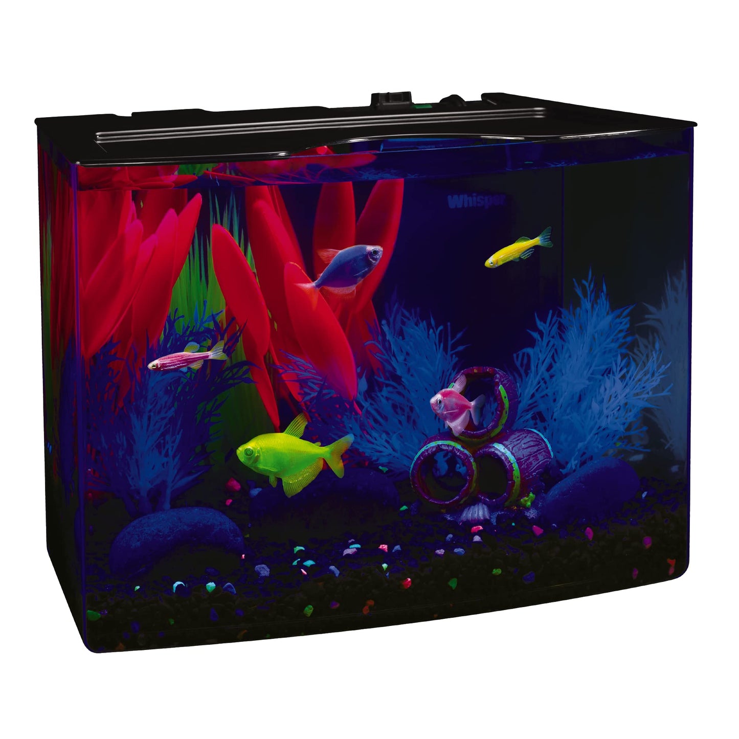 GloFish Crescent aquarium Kit 3 Gallons, Includes Hidden Blue LED Light And Internal Filter