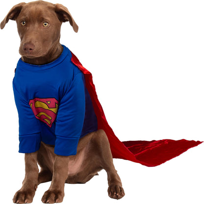 DC Comics Superheroes: Superman Pet Costume for For Dogs or Cats by Rubies, Small