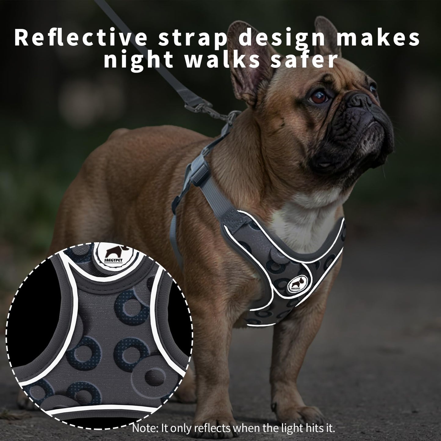 Dog Harness with Leash Set, Reflective Strips Step in with Breathable Padded Vest Harness for Small Dogs Running (S, Gray with Circle)