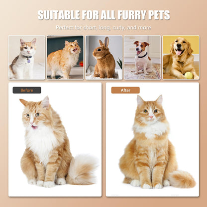 Cloud Care Cat Brush for Indoor Cat Steam Brush for Shedding Spritz Defur Comb for Cats Dogs Steam Brushes for Long Short Hair Cats Dogs Pet Steam Brushes for Massage Grooming Self-Cleaning