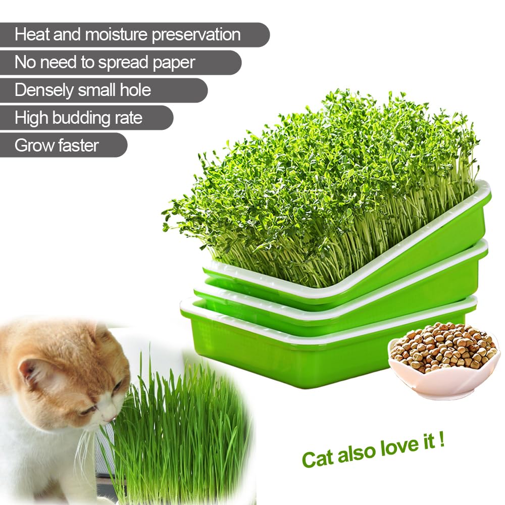 LeJoy Garden Seed Sprouter Tray BPA Free PP Soil-Free Big Capacity Healthy Wheatgrass Grower with Lid Sprouting Kit 13.4x9.84x4.72 inches