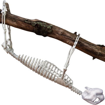Halloween Giant Sloth Animal Skeleton (2 Ft Long) with Easy-to-Hang Limb Straps - Weather Resistant Yard and Tree Decoration w Movable Joints - Perfect for Party Decor and Indoor/Outdoor Use