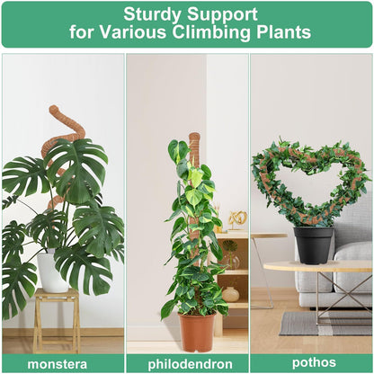 3 Pack Moss Pole, 30 Inch Monstera Plant Support， Moss Poles for Climbing Plants Indoor DIY, Coco Coir Plant Pole Moss Plant Stick Support Stake Kit for Potted Plants, Pothos, Philodendron