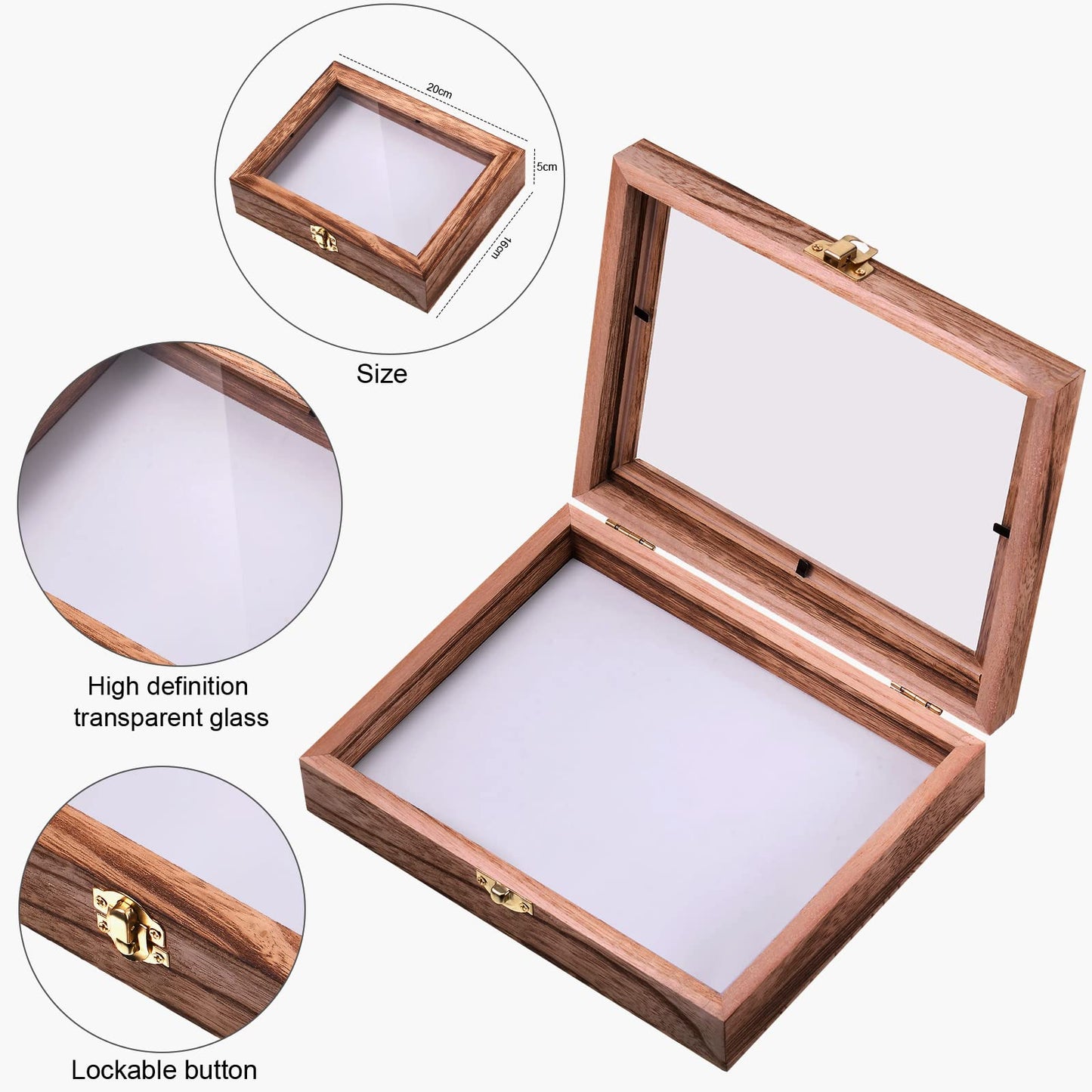 Insect Display Case Box Collection Box with Clear Top, EVA Foam Pinning Board and 100 Pieces Pins Insect Shadow Box Kit Entomology Supplies for Collecting Butterfly Specimen(Carbonized Black)