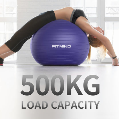 FITMIND_Extra Thick Exercise Ball 75cm Yoga Ball for Workout Pregnancy Stability,Anti-Burst and Slip Resistant Swiss Ball with Pump for Yoga, Pilates, Fitness,Birthing,Physical Therapy (Purple 5265C)