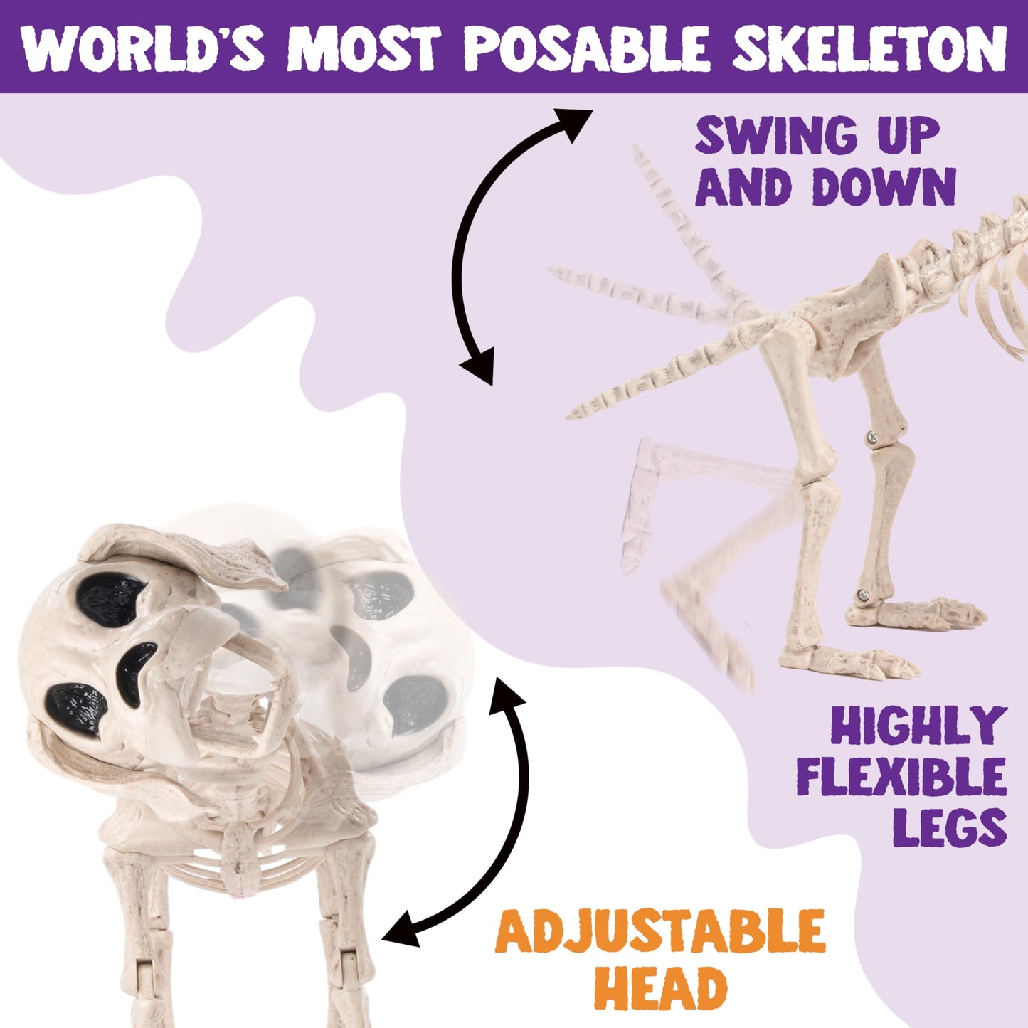 JOYIN Posable Halloween Dog Skeleton Full Body Posable Joints Realistic Skeleton Puppy with Movable Joints for Halloween Decoration, Graveyard Party Decor (9.8” X 4.7” X 12.6”)