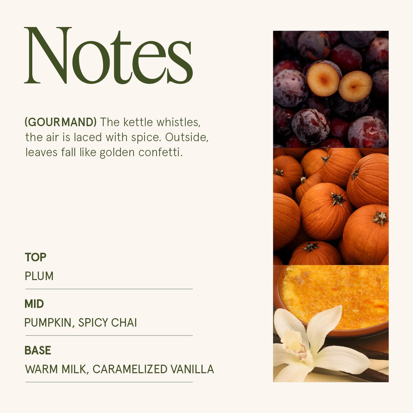 LA JOLIE MUSE Fall Candles – Pumpkin Candle with Spicy Chai & Vanilla | 10 oz Soy Wax Candle | 55 Hours Clean Burn | Autumn Home Décor & Hosting Gift