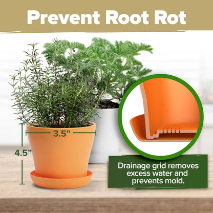 HOME GROWN 𝗣𝗥𝗘𝗠𝗜𝗨𝗠 𝗛𝗘𝗥𝗕 𝗞𝗜𝗧 8 Herb Seeds Garden Kit, Complete Indoor Planter Gift with Basil Cilantro Mint & More, Unique Kitchen Growing Set for Women Men, Birthday Housewarming Present