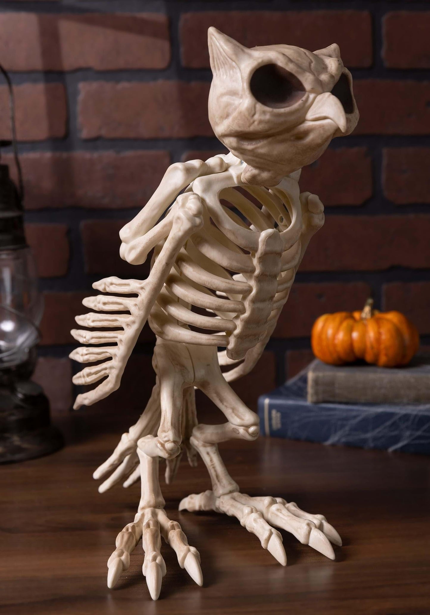 Crazy Bonez Skeleton Owl