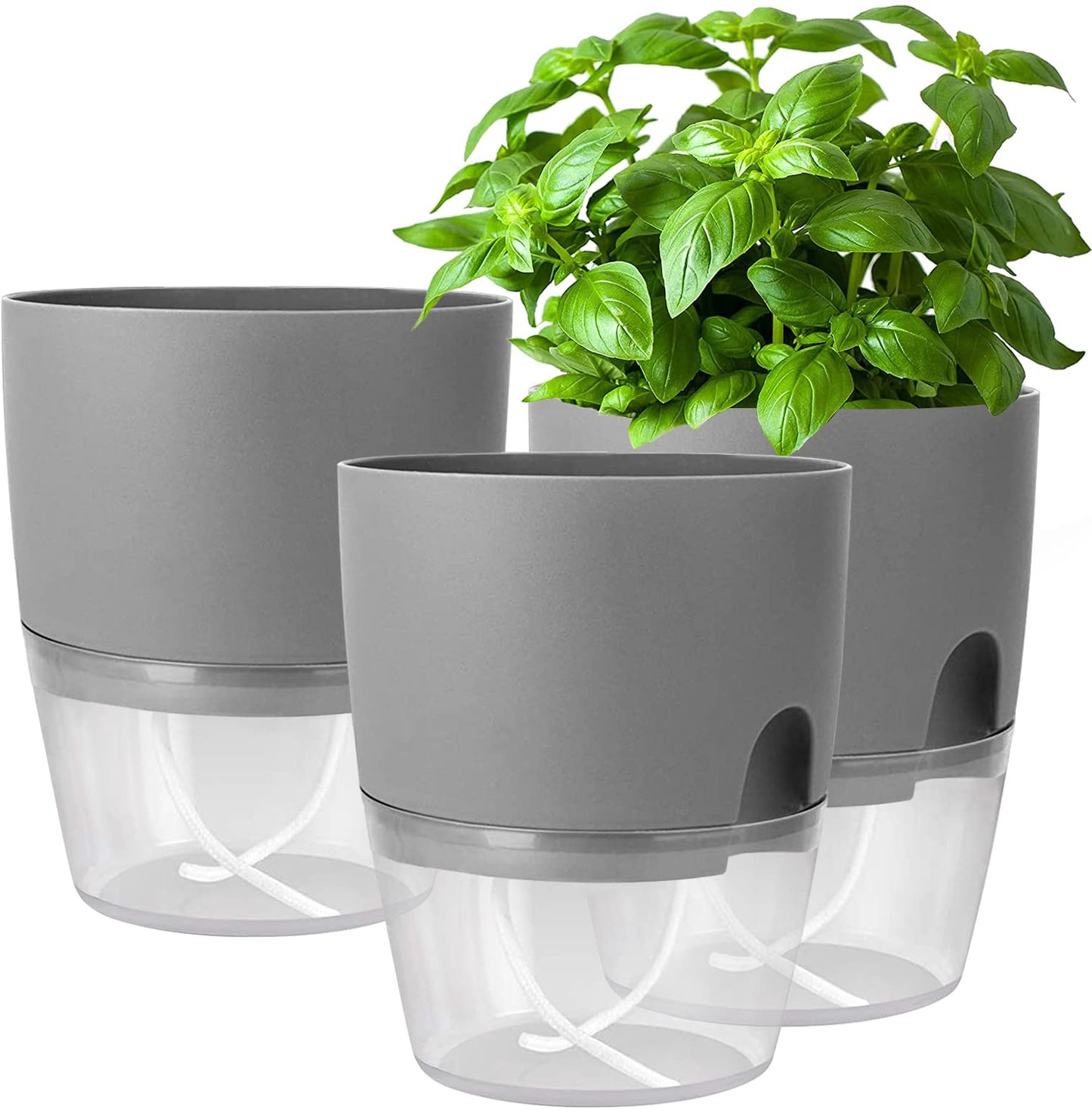iDattel Herb Pot Kitchen Set Window Sill Self-Watering Set of 3 Herb Garden for The Kitchen, 18.2 x 11 x 15.3 cm, for Fresh Kitchen Herbs, Grey