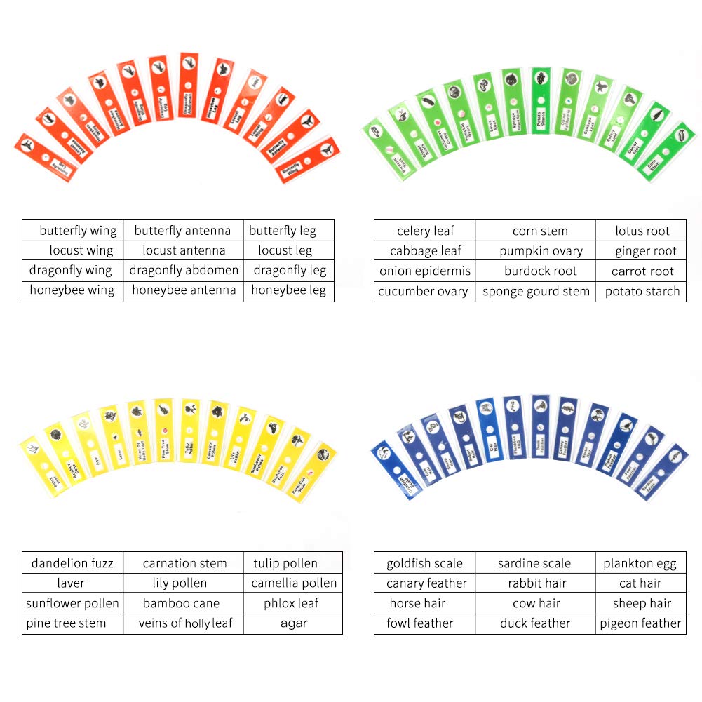 48 Prepared Microscope Slides Set of Animals Insects Plants Flowers, Biological Learning Resource Specimens for Kids Beginner Classroom Basic Science Education