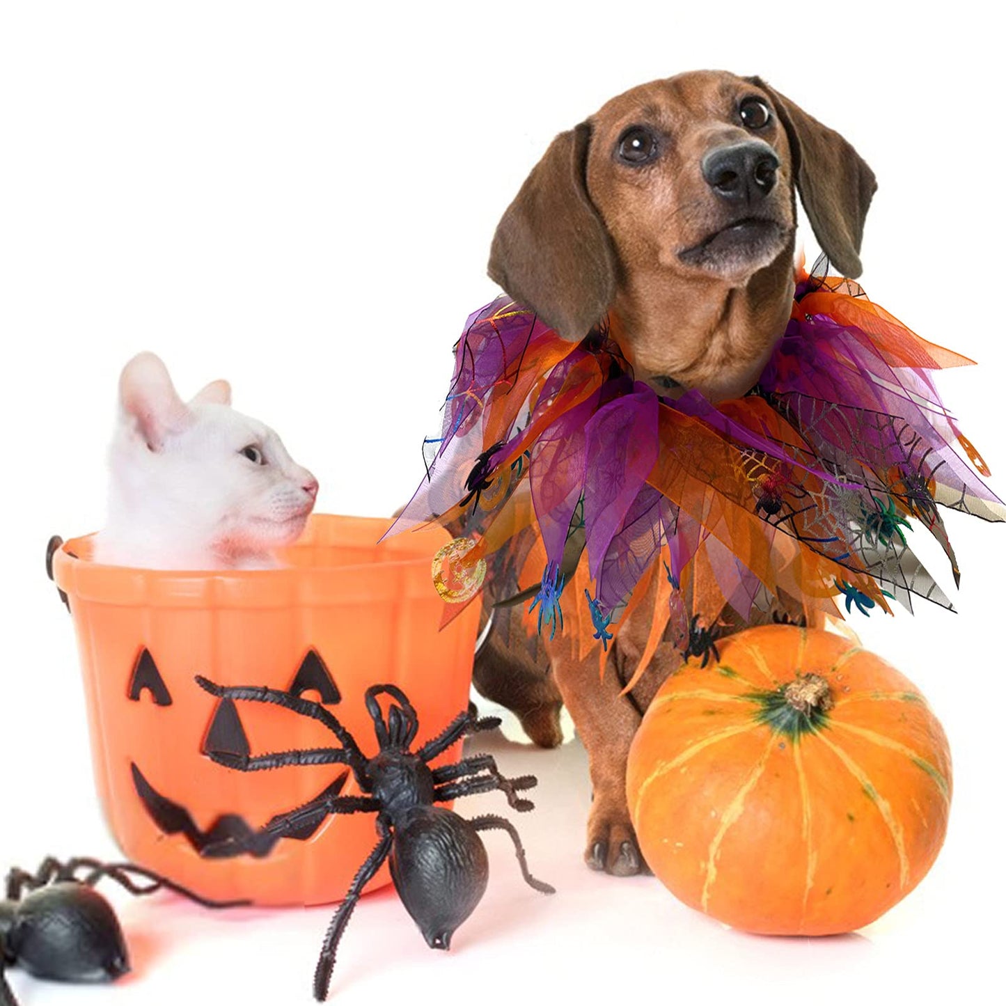 cyeollo 2 Pack Halloween Dog Collar Elastic Fancy Holiday Accessory for Dogs and Cats Pet Costume for Halloween Party