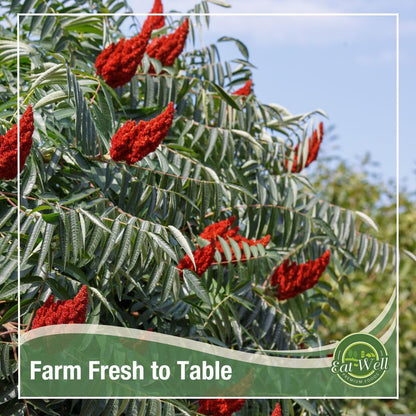 Eat Well Premium Foods Sumac Spice Powder 8 oz Ground Sumac Berries in Resealable Pack, 100% Natural Traditional Middle Eastern Spices, Sumac Seasoning with Pure Gourmet Ingredients for Cooking, Tangy and Citrusy