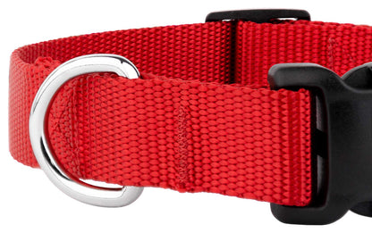 Country Brook Petz - American-Made Dog Collar for Large, Medium, and Small Dogs and Puppies - Deluxe Heavy Duty Nylon in 33 Dazzling Colors (Large, 1 Inch Wide, Bright Red)