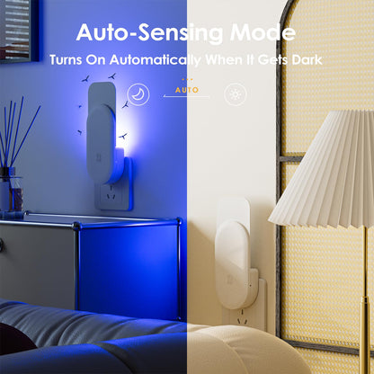 Flying Insect Trap, 2 in 1 Indoor Plug-in Fruit Fly Trap, 1 Trap White and 6 Glue Cards, Fruit Fly Traps for Gnat, Moth, Mosquito, Suitable for Every Part of The Home