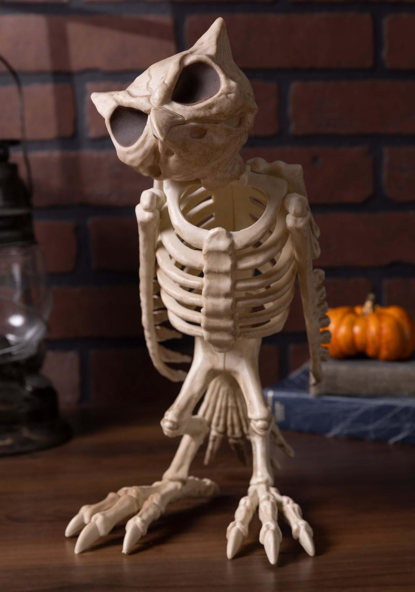 Crazy Bonez Skeleton Owl