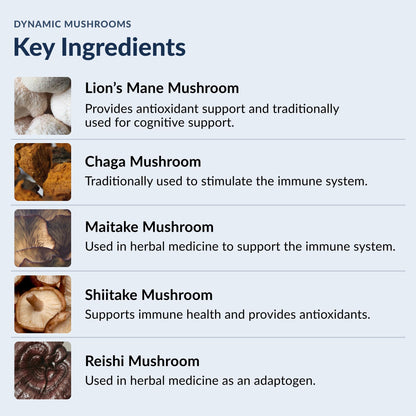Stonehenge Health Dynamic Mushrooms - 100% Fruiting Bodies & Extracts - Lion’s Mane, Chaga, Maitake, Shiitake, Reishi - Nootropic Brain & Immune System Support - No Mycelium - 60 Veggie Capsules