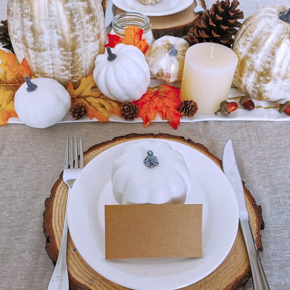 14 Pcs Assorted Fall Artificial Pumpkins Harvest Frosted Pumpkins Gold Brushed White Foam Pumpkins and White Faux Pumpkins for Fall Autumn Season Halloween Thanksgiving Harvest Holiday Season Festive