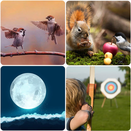 Gosky Flagship DiamondEdge 20-60x80 Spotting Scope with Tripod, Carrying Bag and Quick Phone Holder - BAK4 High Definition Waterproof Spotter Scope for Bird Watching Wildlife observing,Green