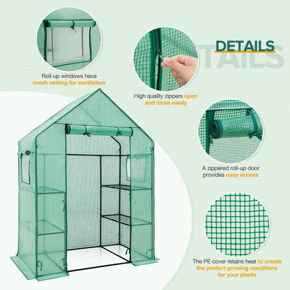 EAGLE PEAK Walk in 3-Tier Greenhouse with Wire Shelves, Portable Indoor and Outdoor Green House with Roll-Up Zippered Door & 2 Roll Up Side Windows, 4 Shelves, 61"x28"x79", Clear/Green PE Cover