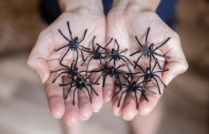 Happy Hippo Halloween Spider Web Decoration, 200 Sqare Feet & Plastic Spiders, Halloween Party Supplies, Spider Webs (Small, 200 Sq Feet) (8 Fake Spiders Included)