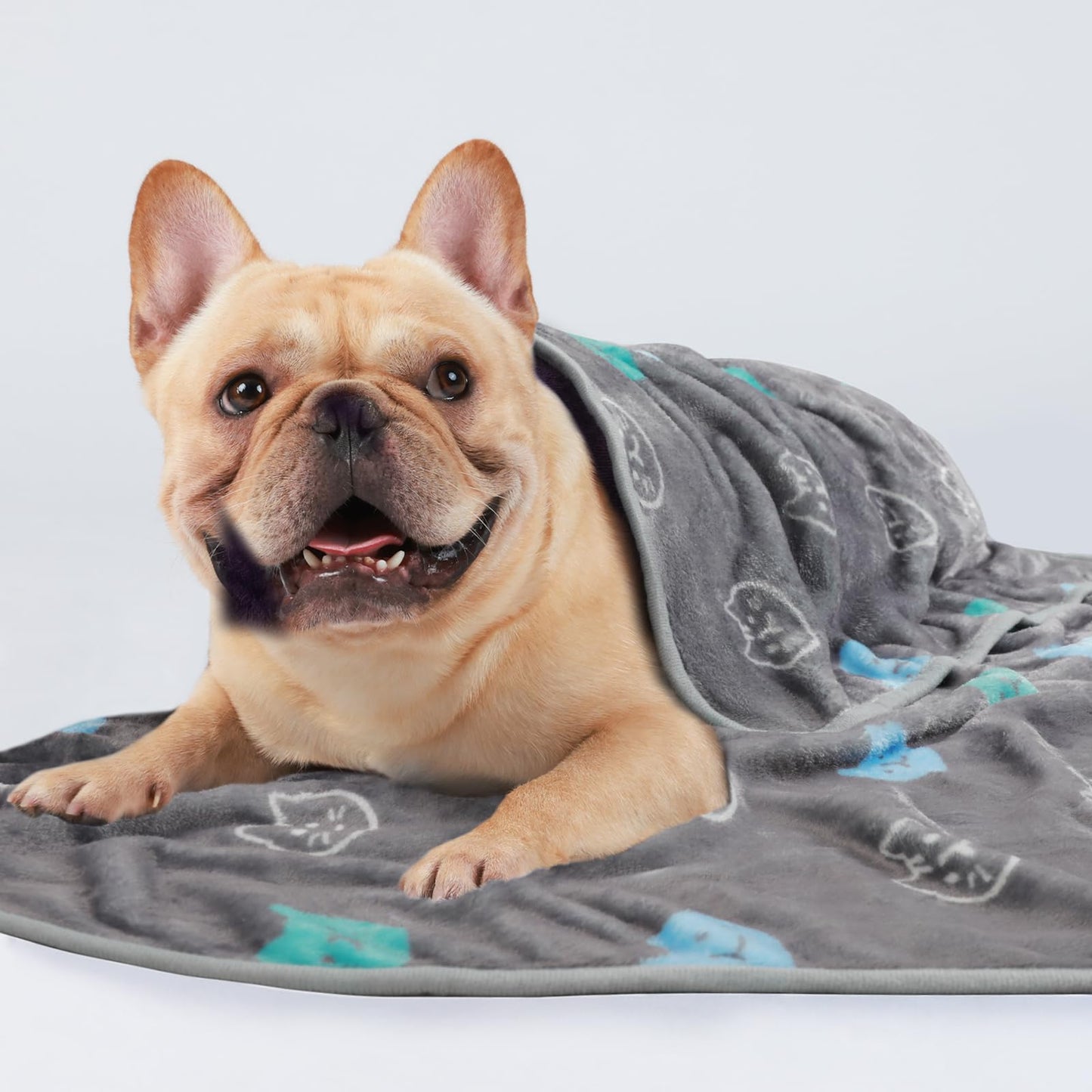 1 Pack 3 Blankets Super Soft Fluffy Premium Cute Cat Pattern Pet Blanket Flannel Throw for Dog Puppy Kitten Blue/Cyan/Grey Medium(30x20 inch)