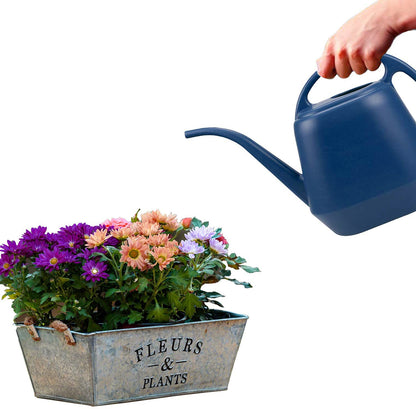 Fasmov Plastic Watering Can, Blue, 1-Gallon