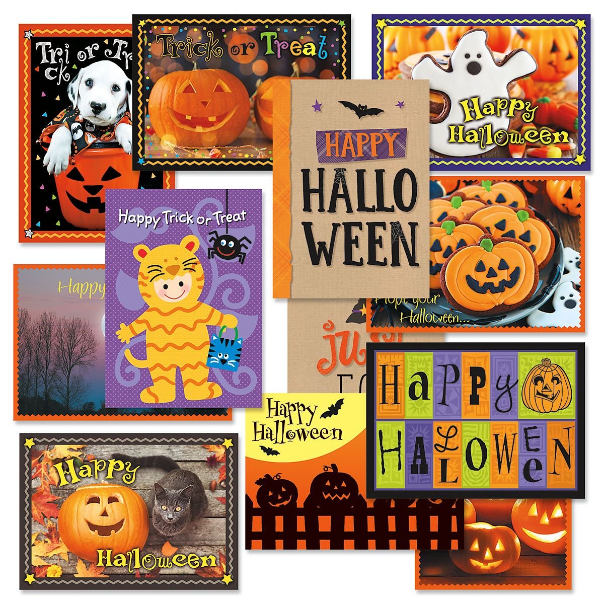 Current Halloween Greeting Cards Set - Themed Holiday Card Variety Value Pack, Set of 12 Large 5 x 7-Inch Cards, Assortment of 12 Unique Designs, Envelopes Included