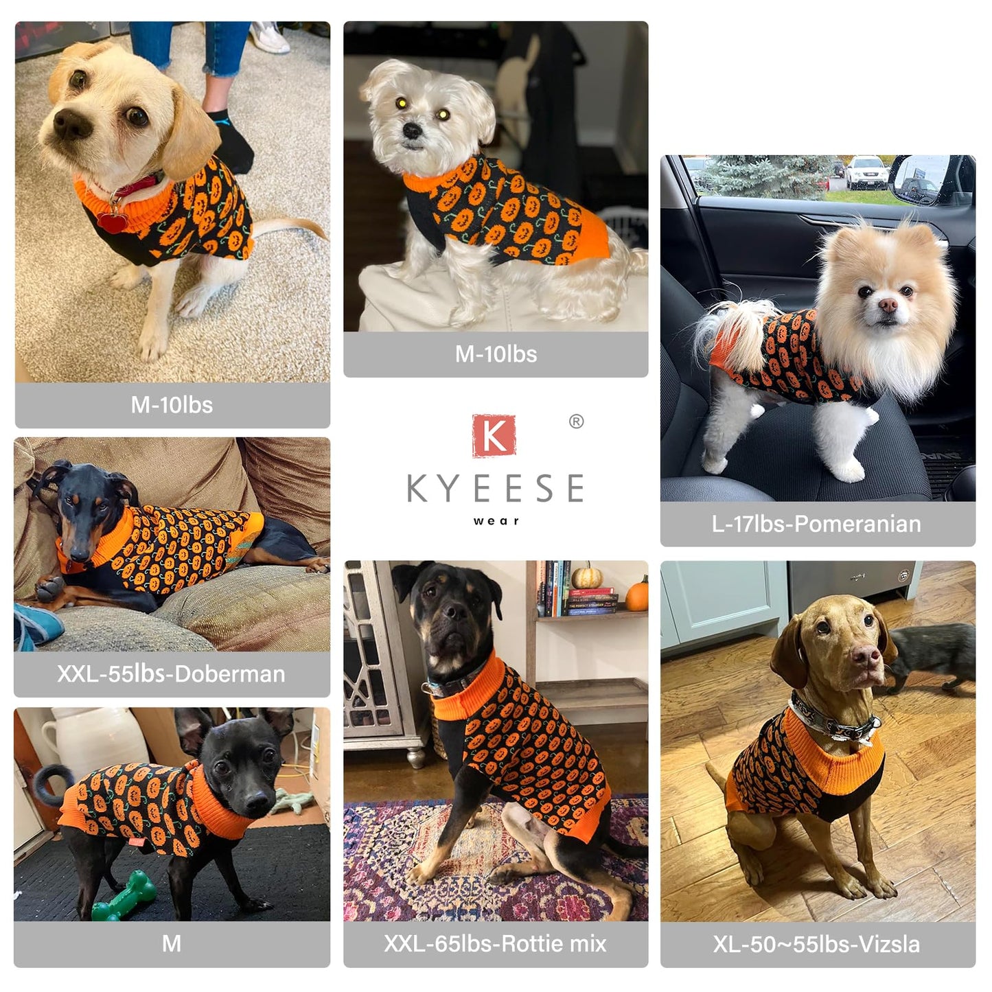KYEESE Halloween Dog Sweater with Leash Hole Cute Pumpkin Design Winter Warm Turtleneck Cozy and Comfortable Orange Knitwear for Small Dogs Boy Fall Holiday Apparel Halloween Doggy Sweater, Large