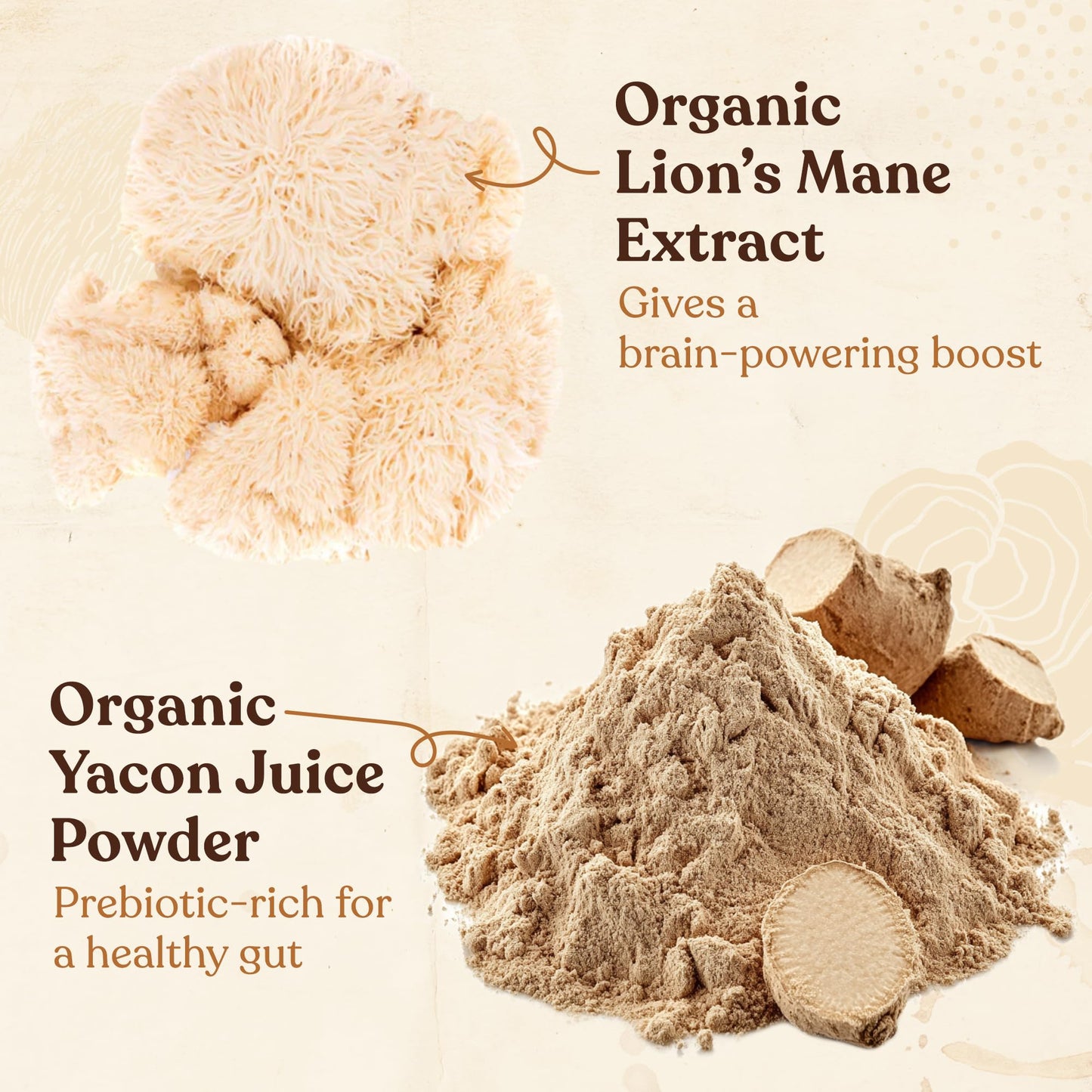 Four Sigmatic Dark Roast Organic Whole Bean Coffee | Gourmet Nootropic Mushroom Coffee Beans with Lion's Mane & Chaga Mushrooms for Enhanced Brain Function and Immune Support | 12oz