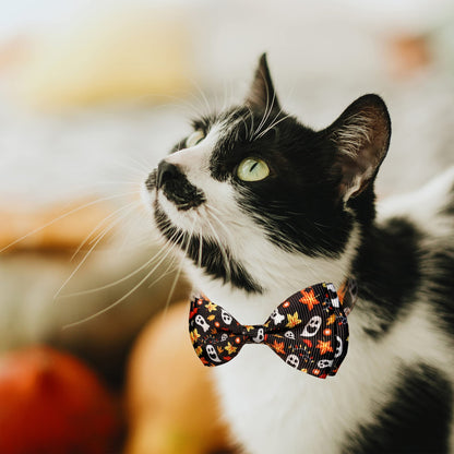 3 Pack Holiday Cat Collar with Bow and Bell, Halloween Thanksgiving Christmas Cat Collar for Boys and Girls Kitties Kittens